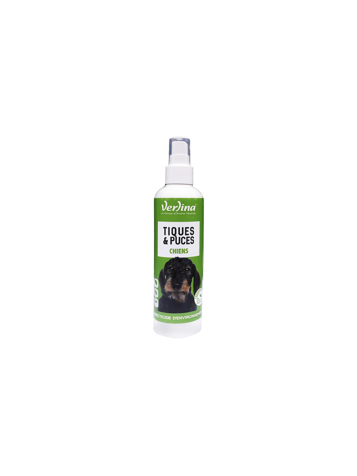 Environnement Chien Insecticide