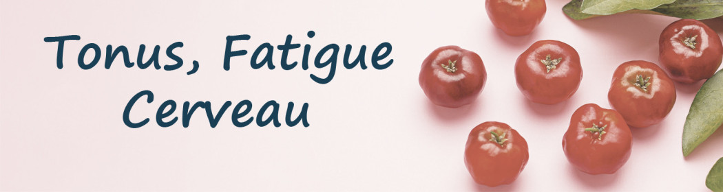 Tonus, Fatigue, Cerveau