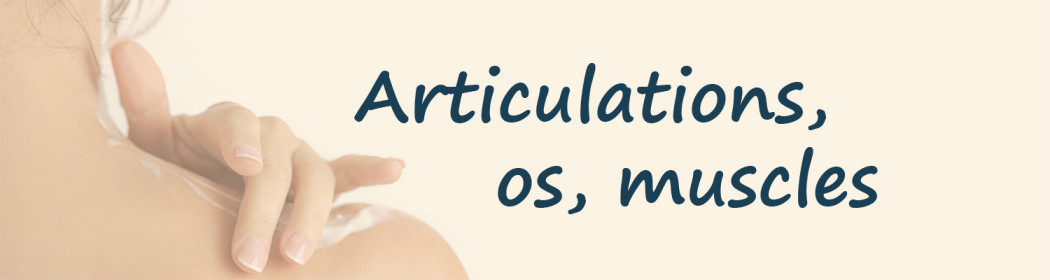 Articulations, os, muscles