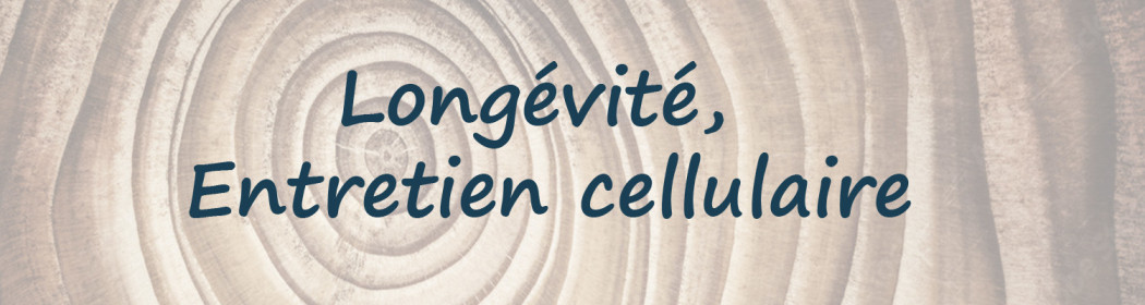 Longévité, entretien cellulaire